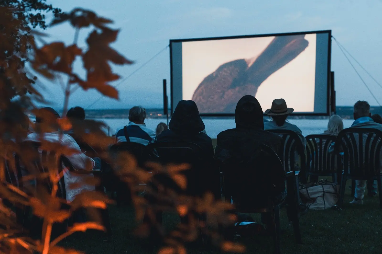 Open Air Kino am Bodensee ein event der hundert 25 plus GmbH