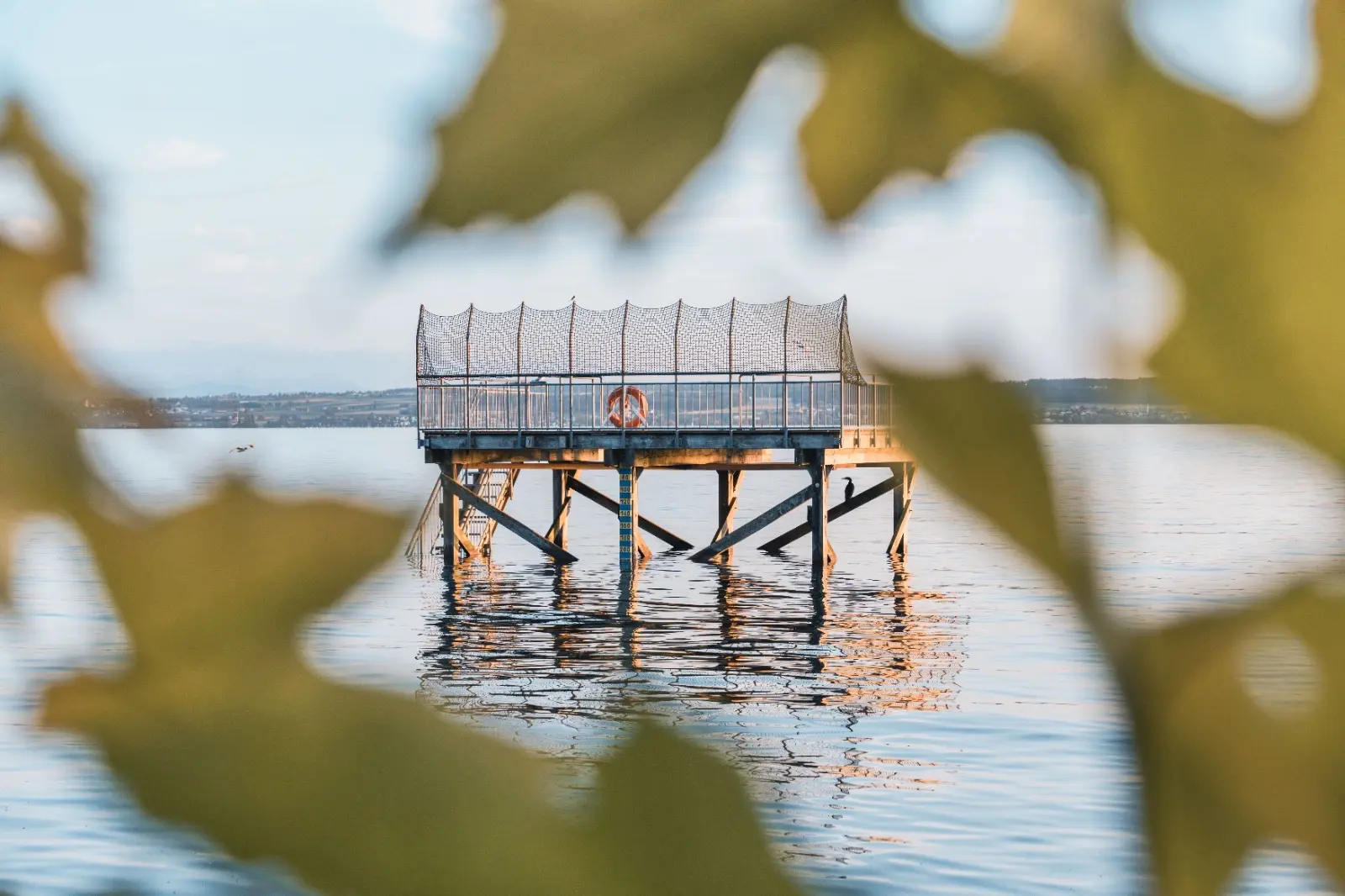Open Air Kino am Bodensee ein event der hundert 25 plus GmbH